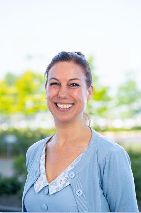Merel (verkleind)