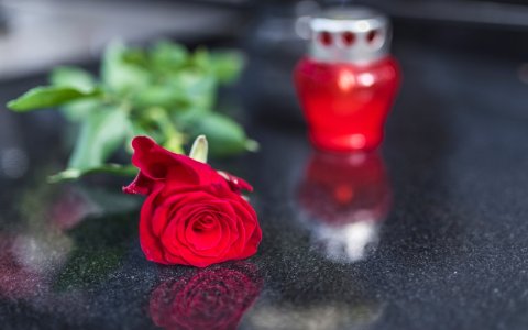 S_onvindbare-begunstigde-levensverzekering-eerder-in-beeld_shutterstock_1191932557